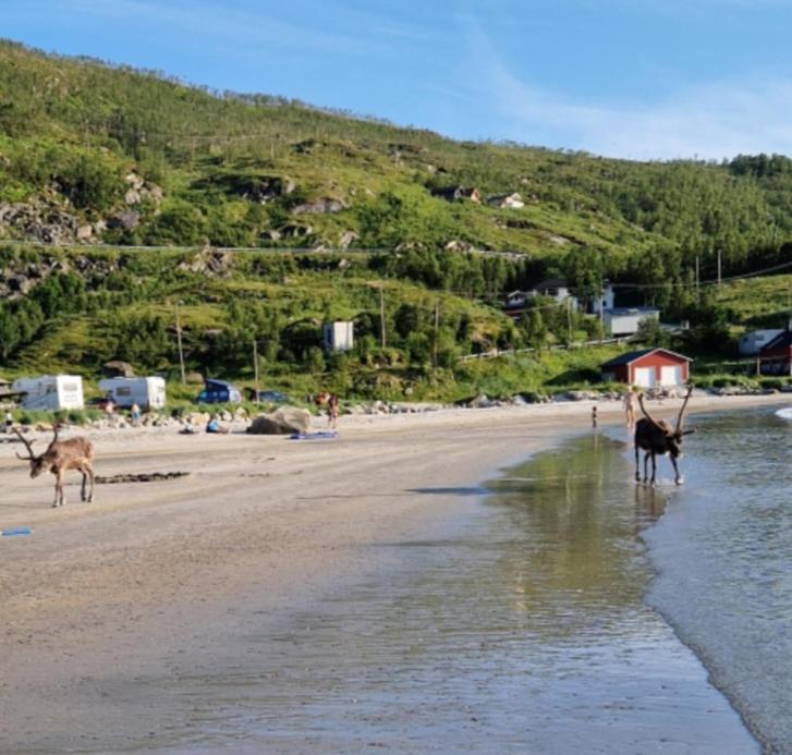 Grotfjord Villa Tromso Bagian luar foto